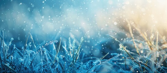 Fototapete - Blurry frozen grass creating a winter abstract background in an outdoor landscape setting with copy space image.