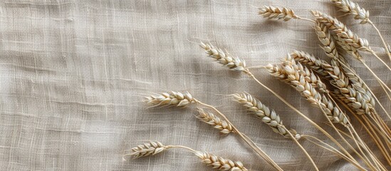 Poster - Wheat spikelets on linen background with copy space image.