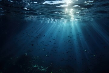 Canvas Print - Deep underwater backgrounds outdoors nature.