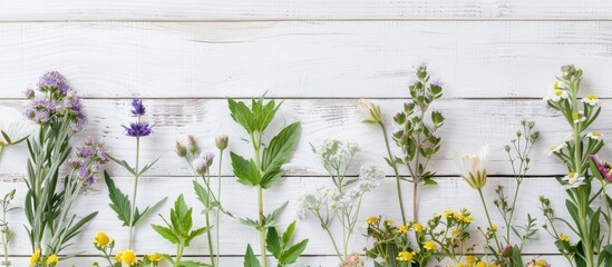 Wall Mural - Herbs, flowers, and berries displayed against a white wooden backdrop, with ample copy space image.