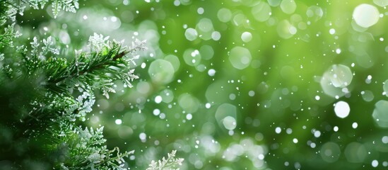 Leinwandbilder - Detailed snow crystals on a green background with copy space image