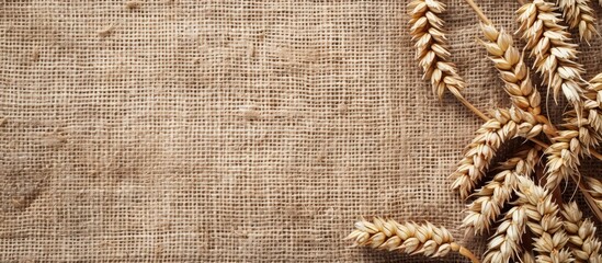 Aufkleber - Burlap background with wheat ears, ideal for copy space image.