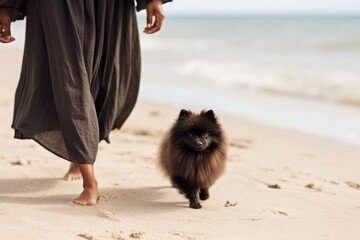 Poster - Woman walking with their dog pomeranian mammal animal.