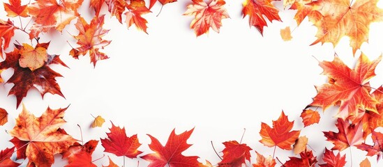 Wall Mural - Autumn leaves in blank banner, for a copy space image.