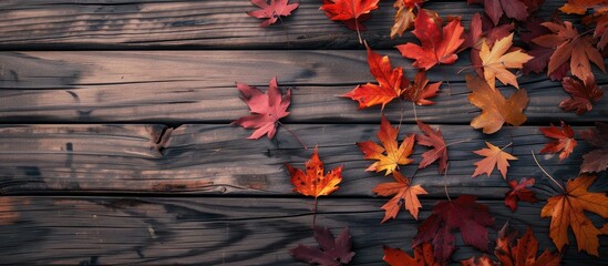 Fototapete - Autumn leaves on a wooden surface backdrop with ample copy space image.