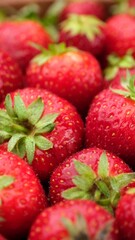 Poster - Fresh strawberries with green tails close up, rotation. Strawberry harvest