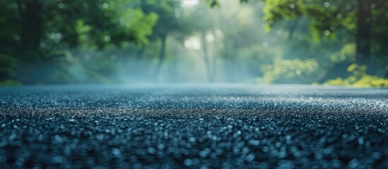 Poster - Blurred outdoor scenery with mist offers a creative asphalt backdrop with copy space image.