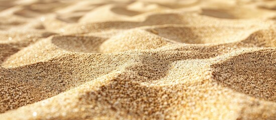 Poster - Close-up texture of sand floor providing a background with copy space image.