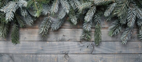 Poster - Festive fir branches adorned on a rustic grey wooden backdrop with copy space image.