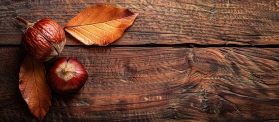 Poster - Chestnut on bronze wood with copy space image.