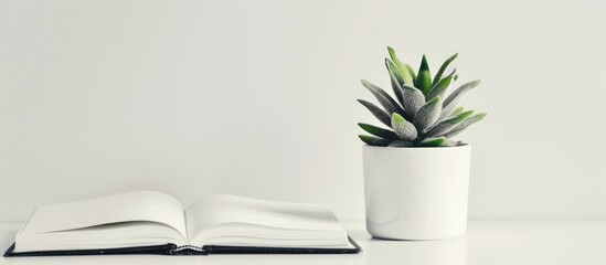 Fototapete - Close-up copy space image of a brand-new, empty notepad next to a potted plant, set against a white backdrop, showcasing excellent picture quality.