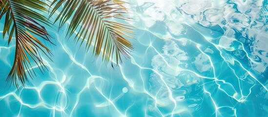 Poster - Summer vacation scene with a pool, palm leaf, and blue sky on a sunny day, ideal for a vibrant copy space image.