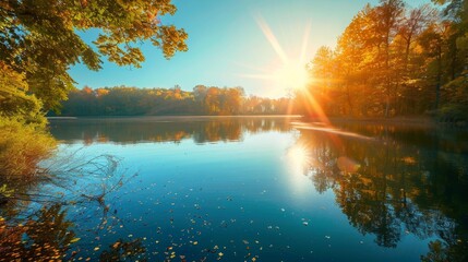 Poster - A bright sun reflecting off the surface of a calm lake surrounded by trees