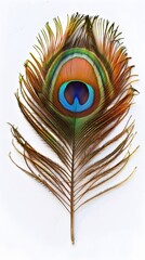 Poster - Vibrant Peacock Feather with Captivating Colors on Pristine White Background Symbolizing Natural Beauty