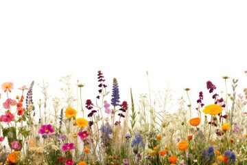 Poster - Flower garden flower nature backgrounds.