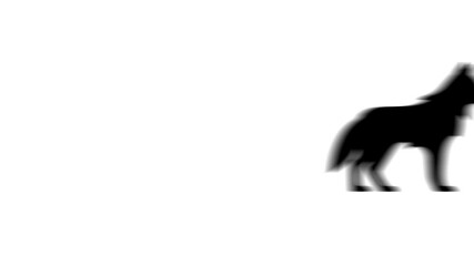 Poster - Animation set, wolf symbol. Animations: transparency, zooms, transition top to down, transition left to right, slide up to down, slide left to right