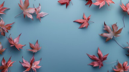Wall Mural - Wallpaper features maple leaves arranged with space for letters, on a blue background.