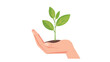 © mizan - Flat art design. A human hand holding a young plant isolated on a transparent background