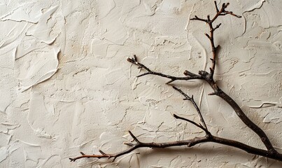 Canvas Print - Old wooden branches on the background of a plastered wall