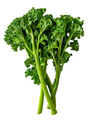 Wall Mural - kale, green vegetables on transparent background