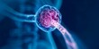 © Anastasiia - Possible lymph node issue Microscopic view of inflamed human lymph node and tonsils. Concept Lymph Nodes, Inflammation, Microscopic View, Tonsils, Biomedical Imaging