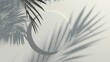 © Duka Mer - An abstract backdrop features a white empty circle on a geometric shape with a shadow of a palm leaf, suitable for product presentation mockup in a summer concept.