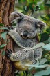 © peerawat - A koala with sleepy human eyes clings to a eucalyptus tree, embodying relaxation and calmness.