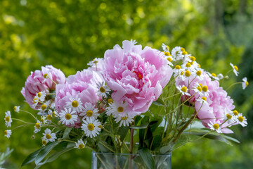 Poster - Blumenvase mit Pfingstrosen (Paeonia) und Kamille