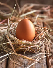 Brown egg in bird's nest on rustic wooden table, culinary art and nature food photography.