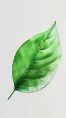 Wall Mural - Green leaves illustration