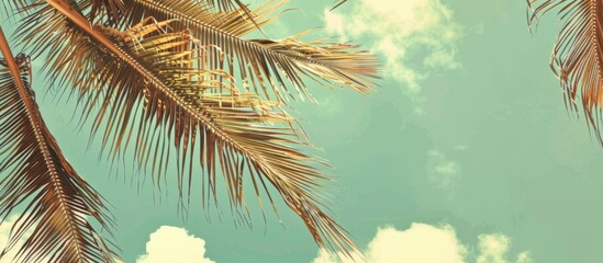 Wall Mural - Vintage style sky background of tropical palm tree branches, toned.