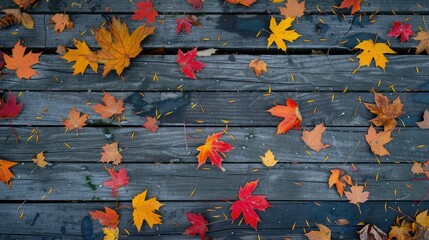 Poster - Maple leaves on outdoor wooden floor in autumn