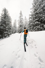 Wall Mural - Mountaineer backcountry ski walking ski alpinist in the mountains. Ski touring in alpine landscape with snowy trees. Adventure winter sport. Low Tatras, slovakia