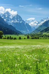 Poster - A serene scene of a lush green meadow surrounded by majestic mountains