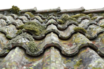 Poster - Close-up shot of a roof with lush green moss growth