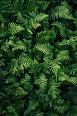 Poster - A detailed view of a variety of green plants, suitable for use in scientific or educational contexts