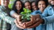 © AlfaSmart - A group of people collectively hold a small plant smiling and showing teamwork