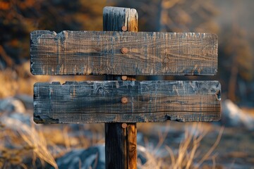 Poster - Close-up shot of a wooden sign in a natural environment, great for outdoor-themed projects