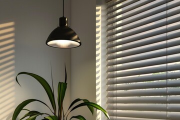 Poster - A single potted plant placed in front of a window, potentially for decoration or observation