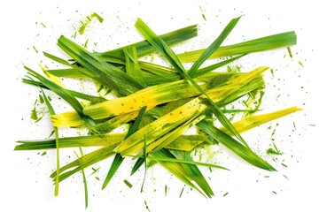 Poster - A detailed shot of vibrant green grass with intricate details