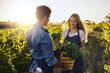 © Stratford/peopleimages.com - Farming, couple and harvest or vegetables box for support, teamwork or helping farmer in agriculture. People in agro business or sustainable living with field crops, produce or celery plant in basket