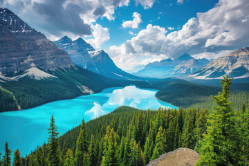 Wall Mural - Stunning turquoise waters of Peyto Lake with forested mountains, Canada