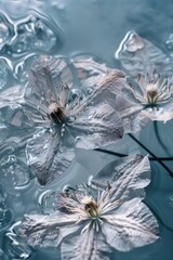 Poster - A calm scene with flowers floating on the surface of the water