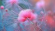 © Diffin - Macro shot of a pink flower with delicate, wispy petals in soft focus, showcasing the intricate details and natural beauty