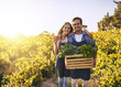 © Stratford/peopleimages.com - Portrait, happy couple and vegetables in crate on farm for harvest, pride and peppers on estate. Woman, man with box and organic produce for stock, agriculture and small business in sustainability