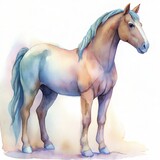 horse. watercolor art illustration.