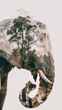 © christian - double exposure of an elephant with the savannah, biodiversity concept, created with generative AI technology