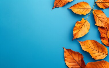 autumn background with yellow leaves on blue background. happy thanksgiving day. frame of fall decor