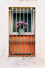 Canvas Print - Pink flowers add a touch of color and life to a window guarded by iron bars on a weathered wall.