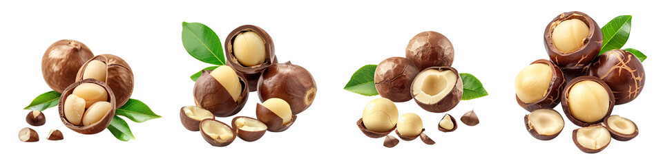 Wall Mural - set of A detailed macadamia nuts, isolated, leaves on a transparent background